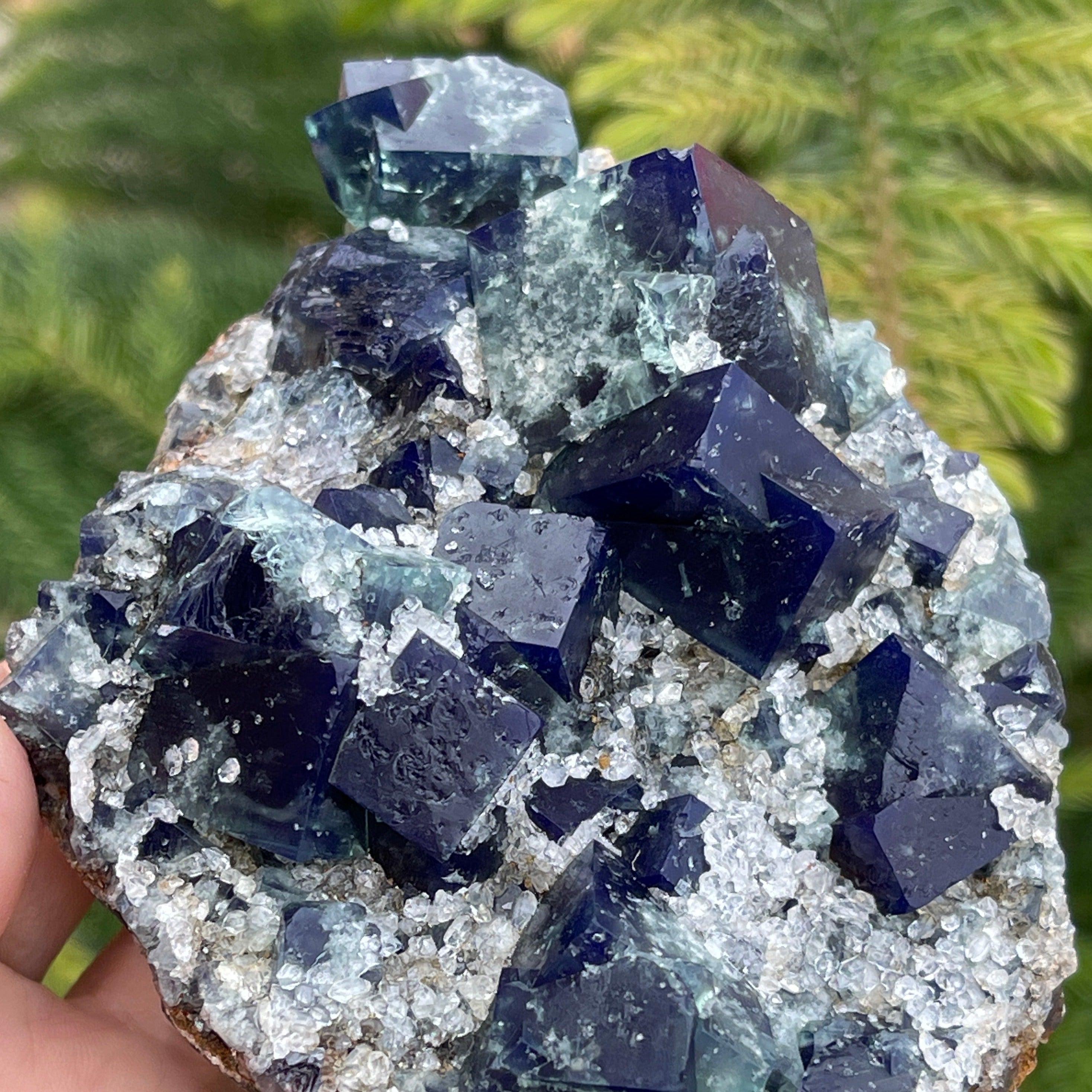 Fluorite New Find! SuperNova Pocket 319grams | CrystalRockology