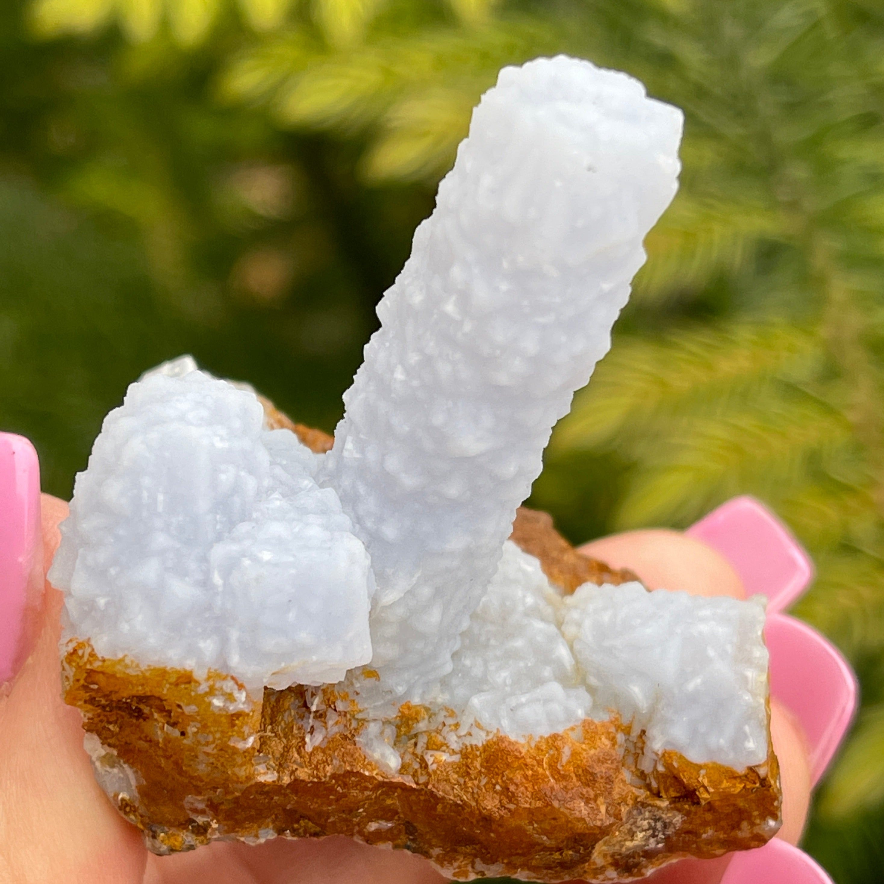 The color of this fascinating finger-like, botryoidal formation is a very light blue. This Chalcedony pseudomorph after Anhydrite is truly an intriguing example of this species.