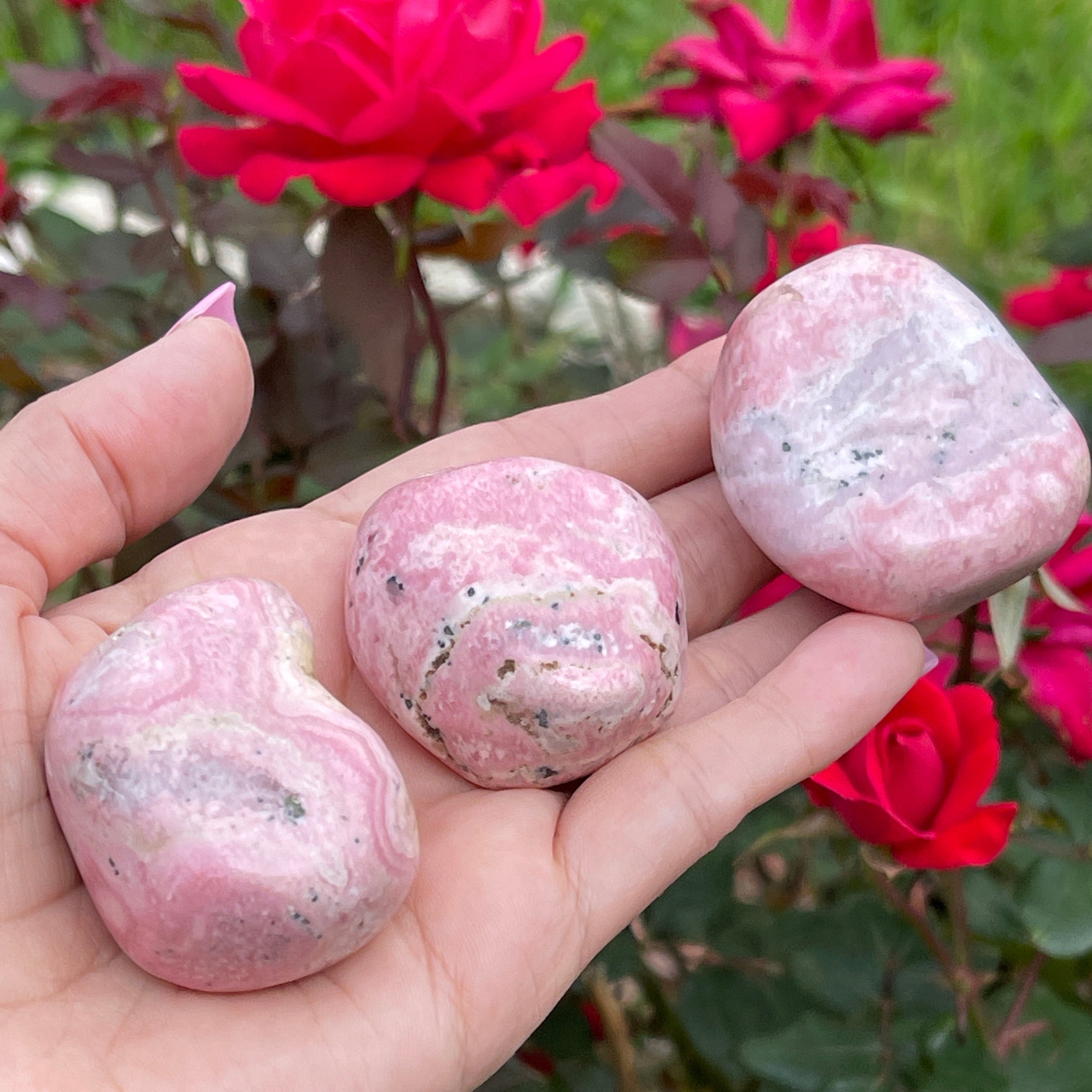 Rhodochrosite polished stones shown in hand.