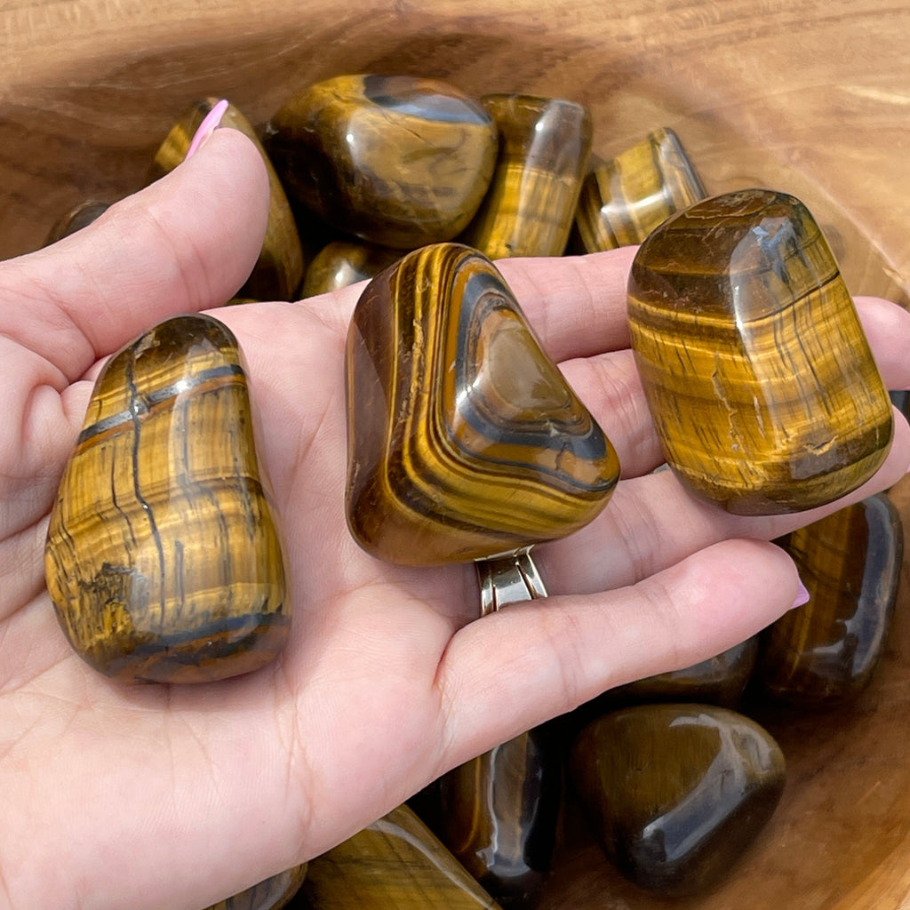 Tiger's Eye polished stones shown in hand.