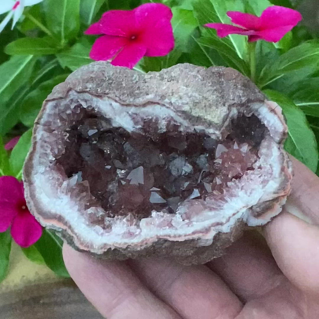 Without a doubt, this is one of the highest quality, good size, sparkling specimens of a Pink Amethyst Crystals Geode we've had the honor to offer to you.
