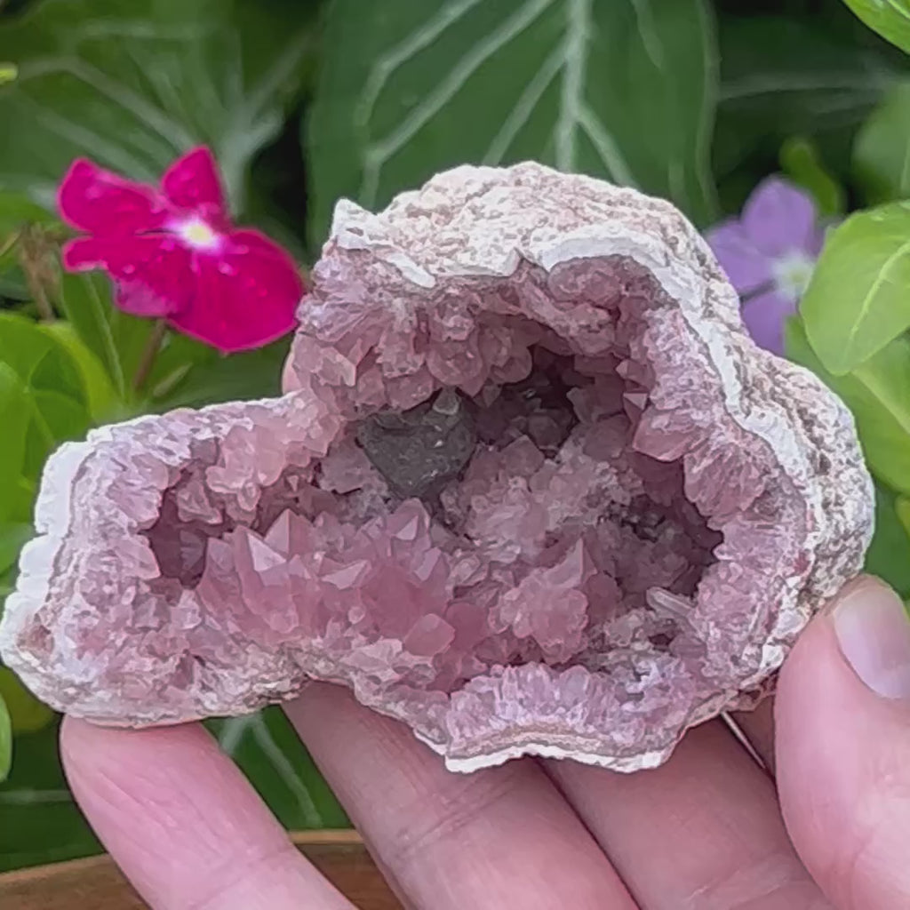 This excellent, higher quality Pink Amethyst Crystals Geode specimen presents with pleasing shine and sparkle!