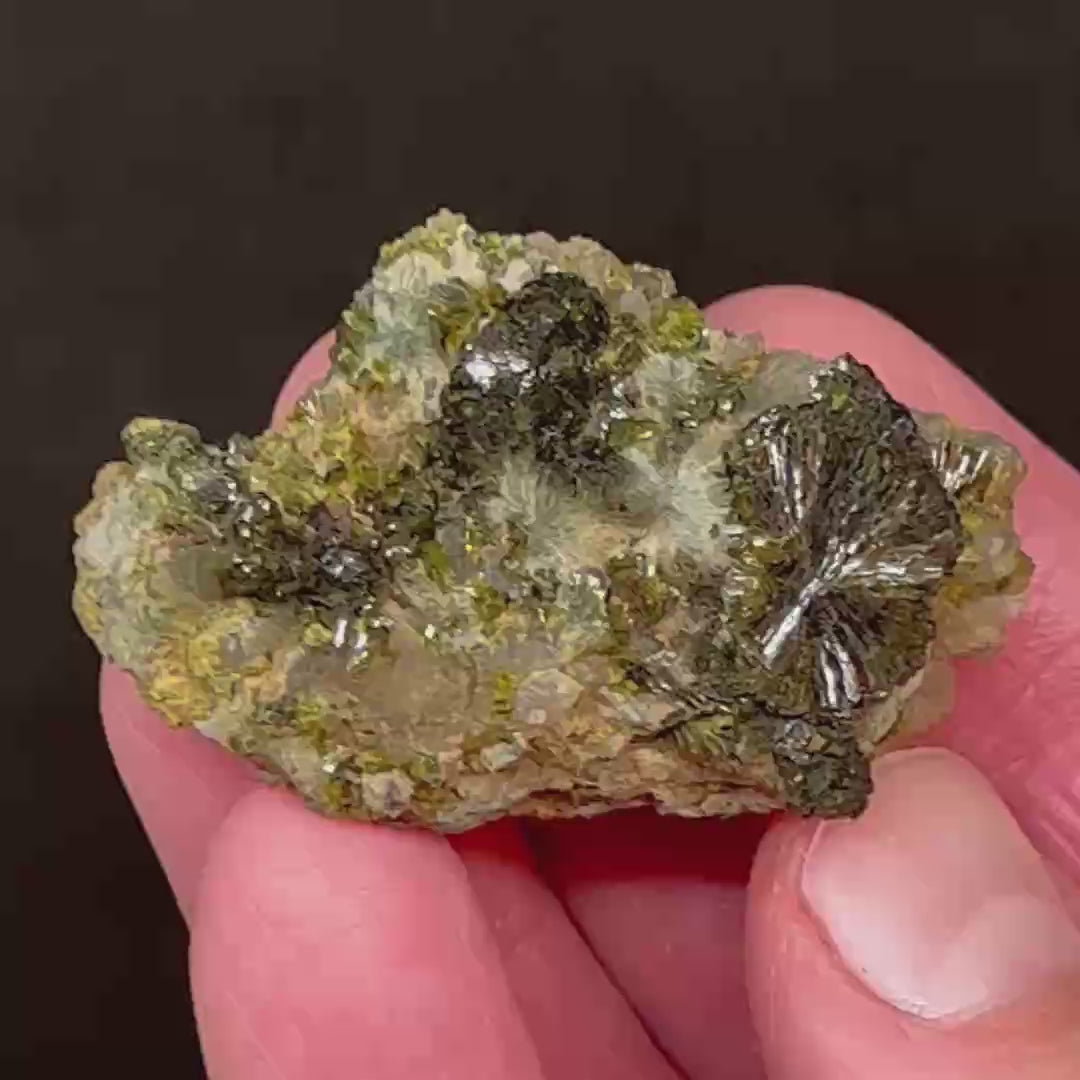 This is a truly attractive, aesthetic example of Epidote and Quartz. Due to the high degree of how naturally shiny the Epidote is, the video in this listing best exhibits the fine features of this quality specimen.