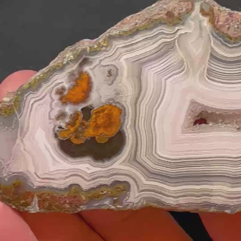 This laguna Agate slab specimen will be a truly great addition to any collection!  The source for this Laguna Agate is Estacion Ojo Laguna, Ahumada Municipality, Chihuahua, Mexico.
