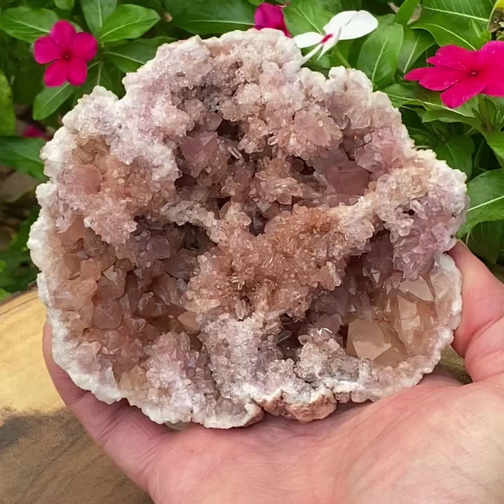 This Pink Amethyst Geode Specimen weighs in at almost 1 pound and measures a very large, especially for quality Pink Amethyst specimens, 4.98" x 4.47" x 1.96" or 126.5mm x 113.7mm x 49.8mm deep.  