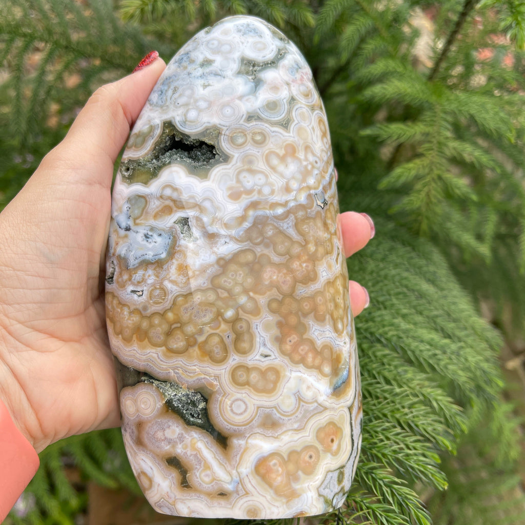 Very rare 8th Vein Ocean Jasper large shaped and polished stone.