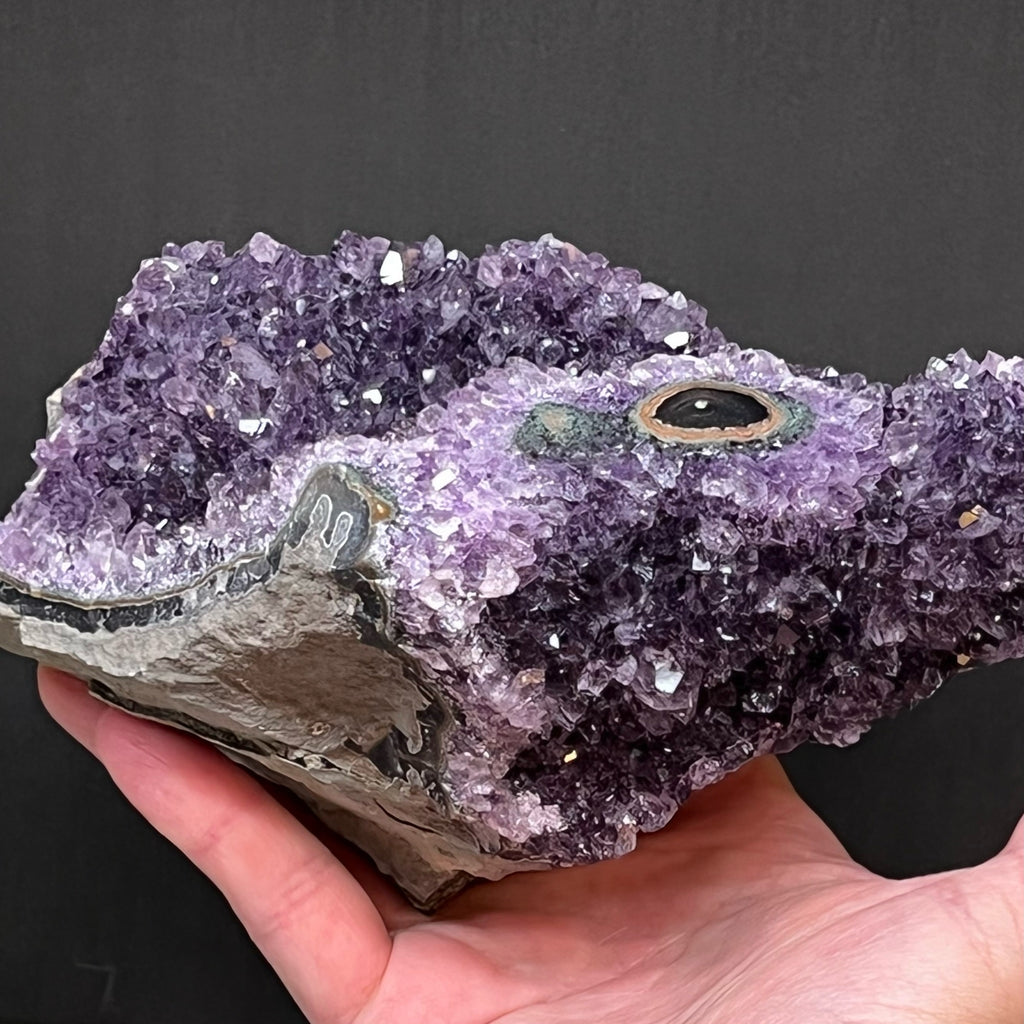 The majority of the very purple crystals, banding and base presenting on this beautiful Amethyst Flower Eye specimen are raw and unpolished so that you may enjoy the natural creation of the delightful piece.