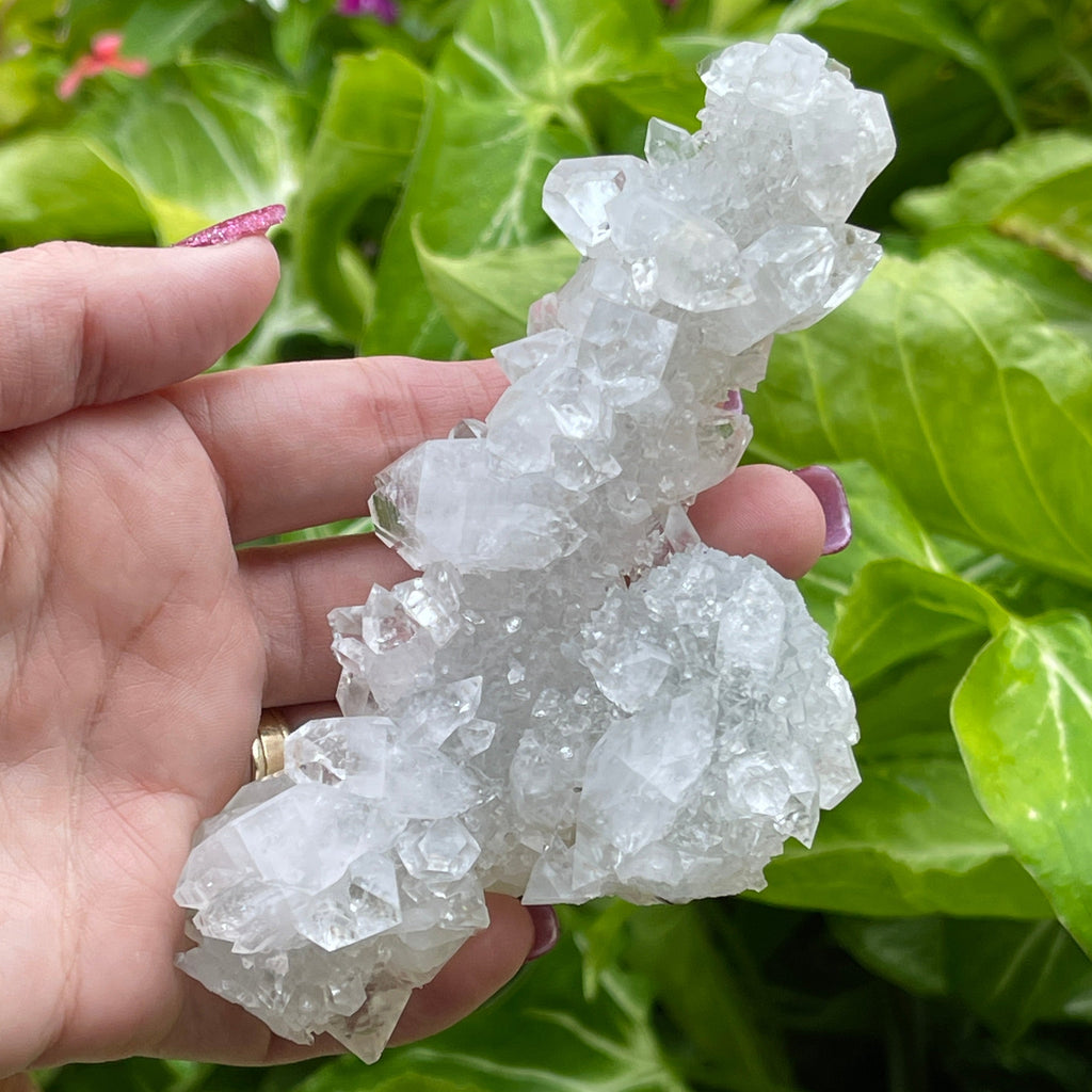 Outstanding Apophyllite growing a Stalactites, larger size, with mirror like Prismatic Crystals.