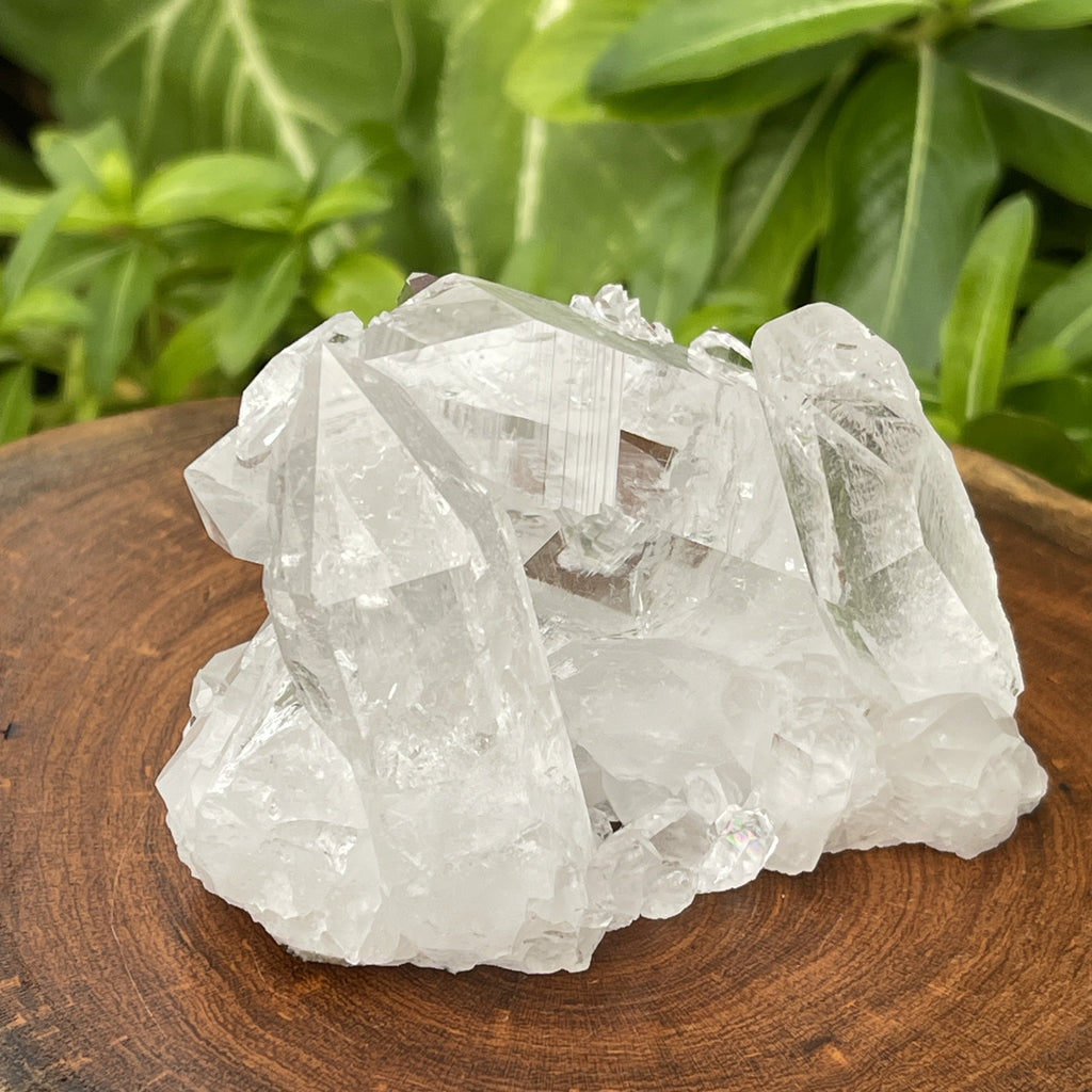 Large, Arkansas Quartz Crystal Cluster with alot going on in this specimen. 