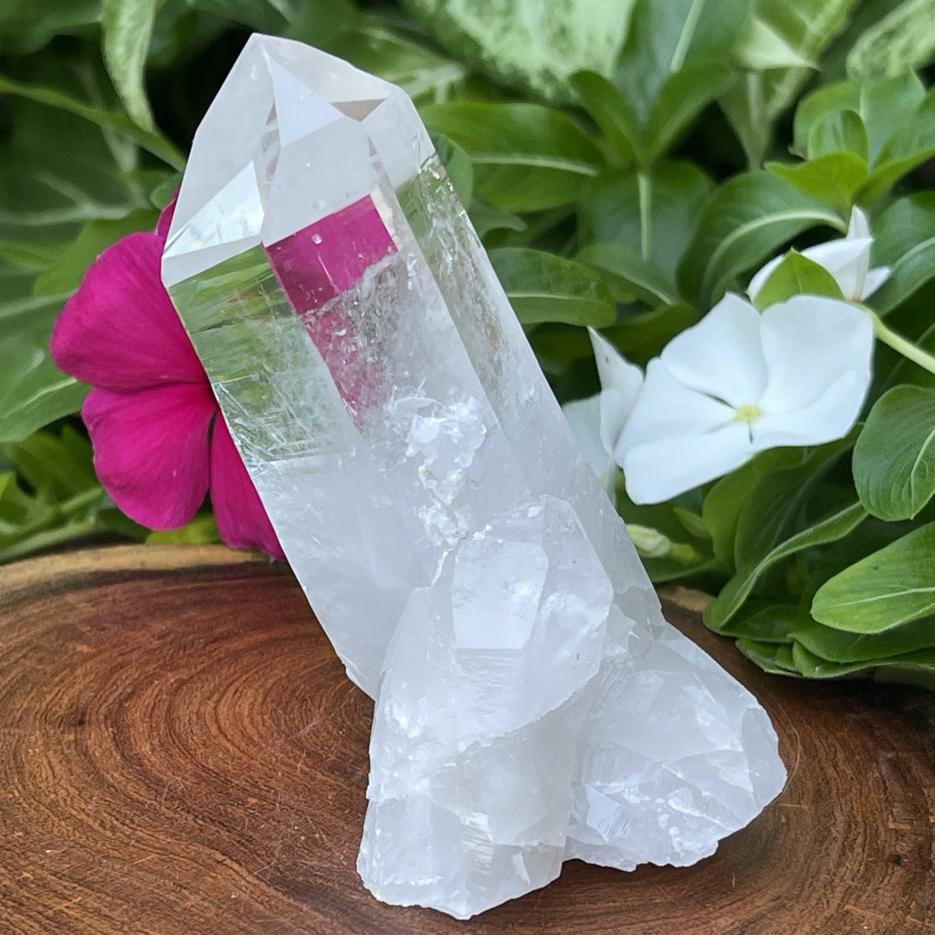 Arkansas quartz crystal point standing with cluster at the base.