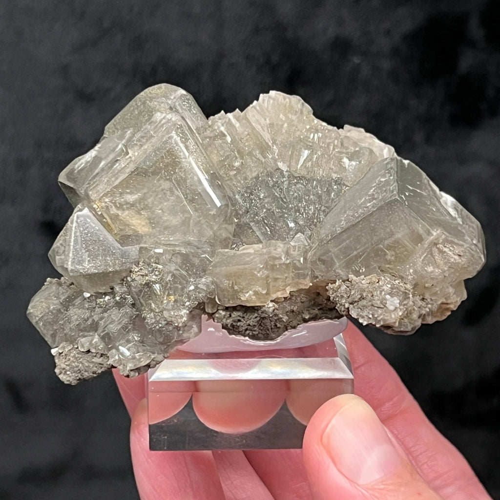 The Calcite crystals in this fine specimen present as cubes with edges beveled by the faces of a tetrahexahedron. 