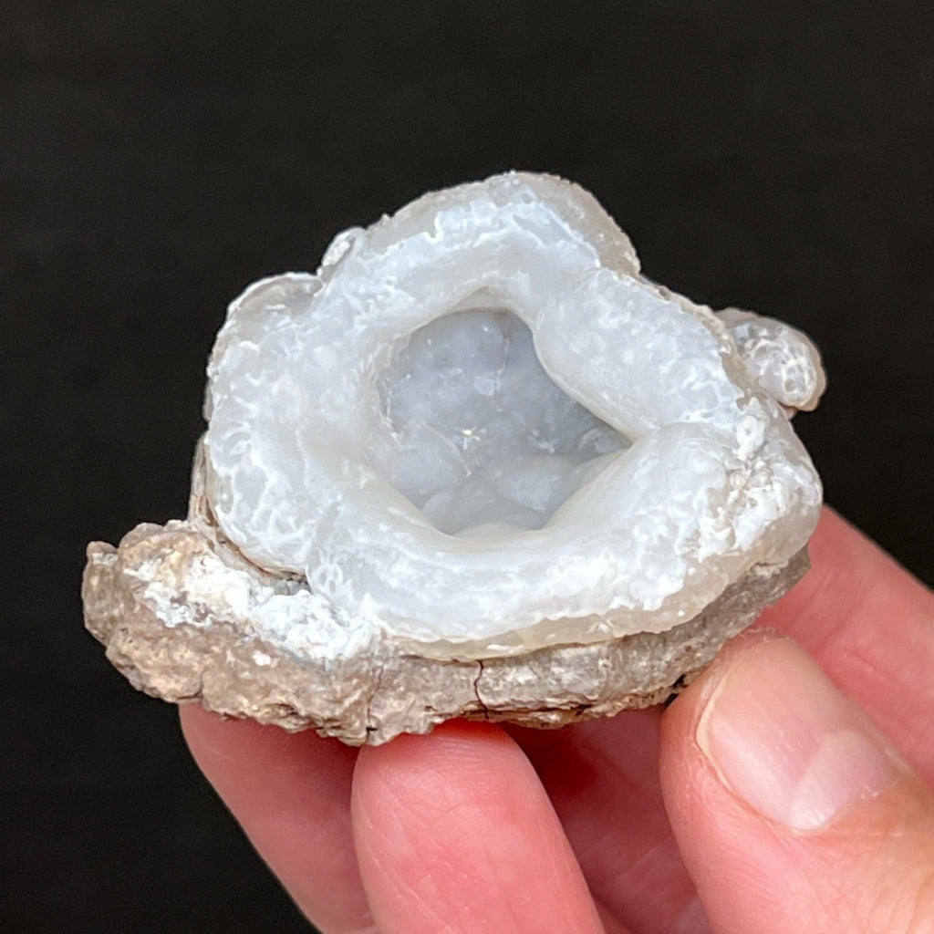 The source for this captivating Quartz var. Chalcedony, Chalcedony Cup specimen is a new find, the Green Fire Prospect, Cochise County, Arizona, U.S.A., near the Arizona / New Mexico border.