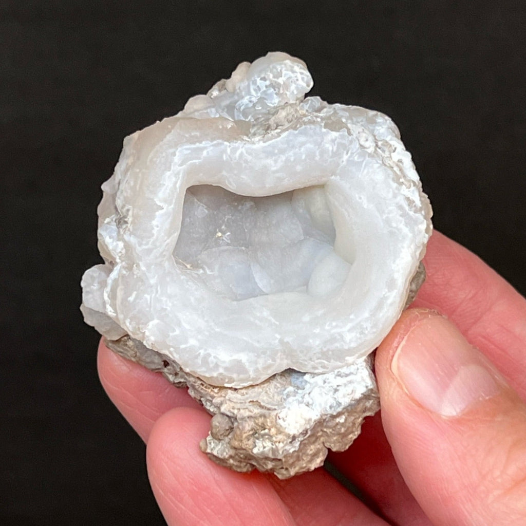 Often found in nodules and in unusual, twisted, flower-like formations, this unique specimen exhibits with characteristic captivating cup-like, lip shaped Chalcedony.
