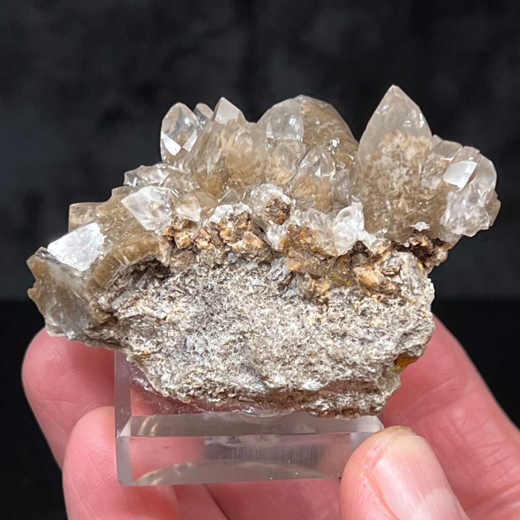 You will enjoy exploring the Todorokite present in these glassy, highly transparent Calcite crystals.