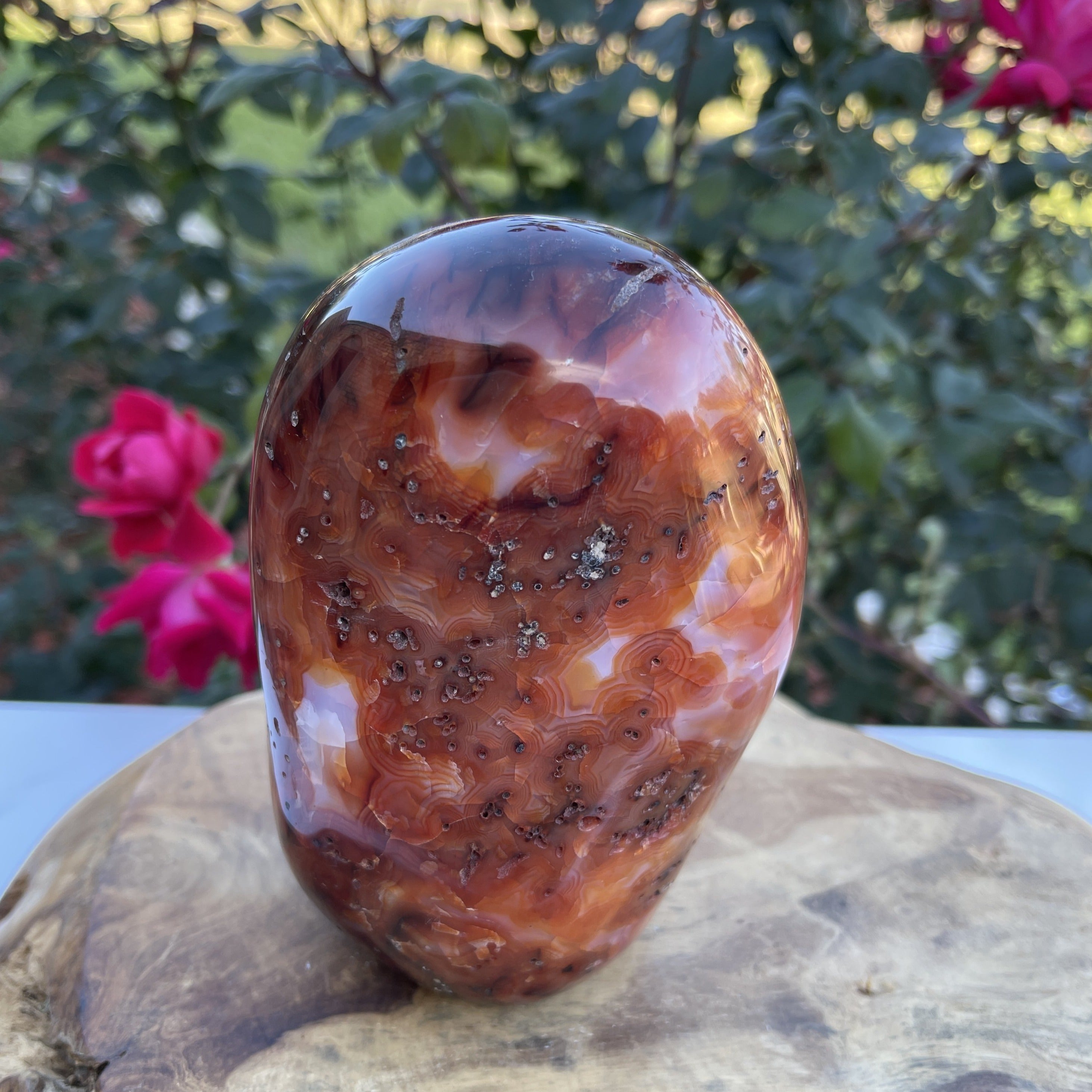 Large standing Carnelian Crystal with beautiful banding.