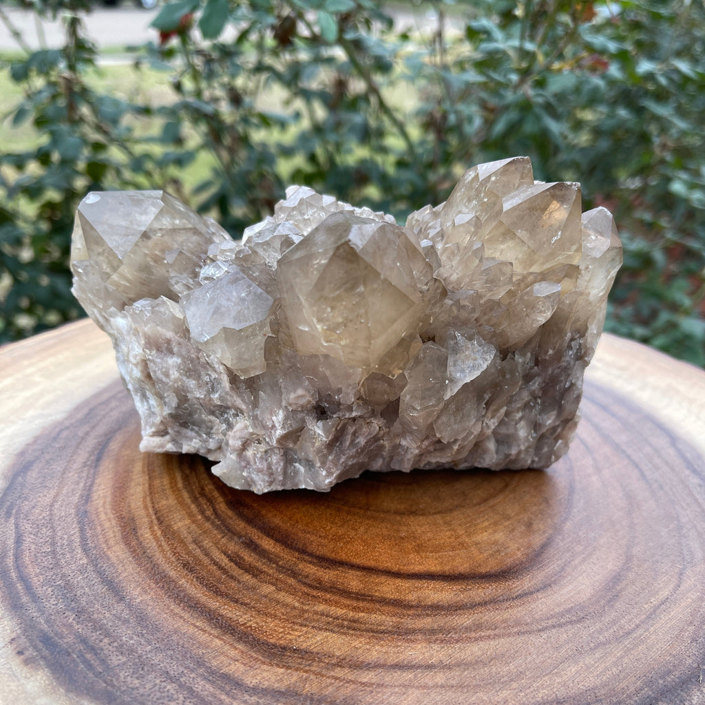 Congo Citrine Cluster, 1475g. or 3.2lbs | Authentic, Untreated Abundance Cluster