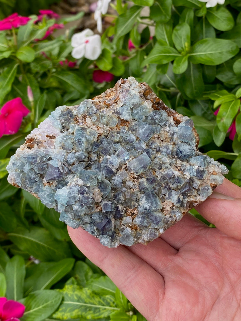 Gemmy Diana Maria Fluorite Cluster | Color Zoning | Natural Fluorescence | 327g