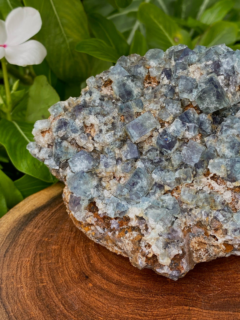 Gemmy Diana Maria Fluorite Cluster | Color Zoning | Natural Fluorescence | 327g