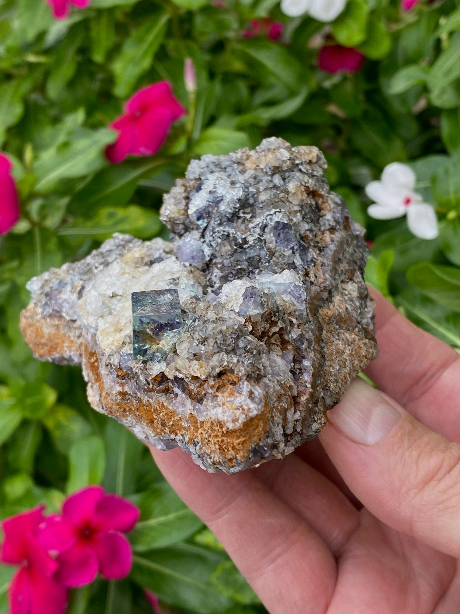 Gemmy Diana Maria Fluorite Cluster | Natural Fluorescence | 435g