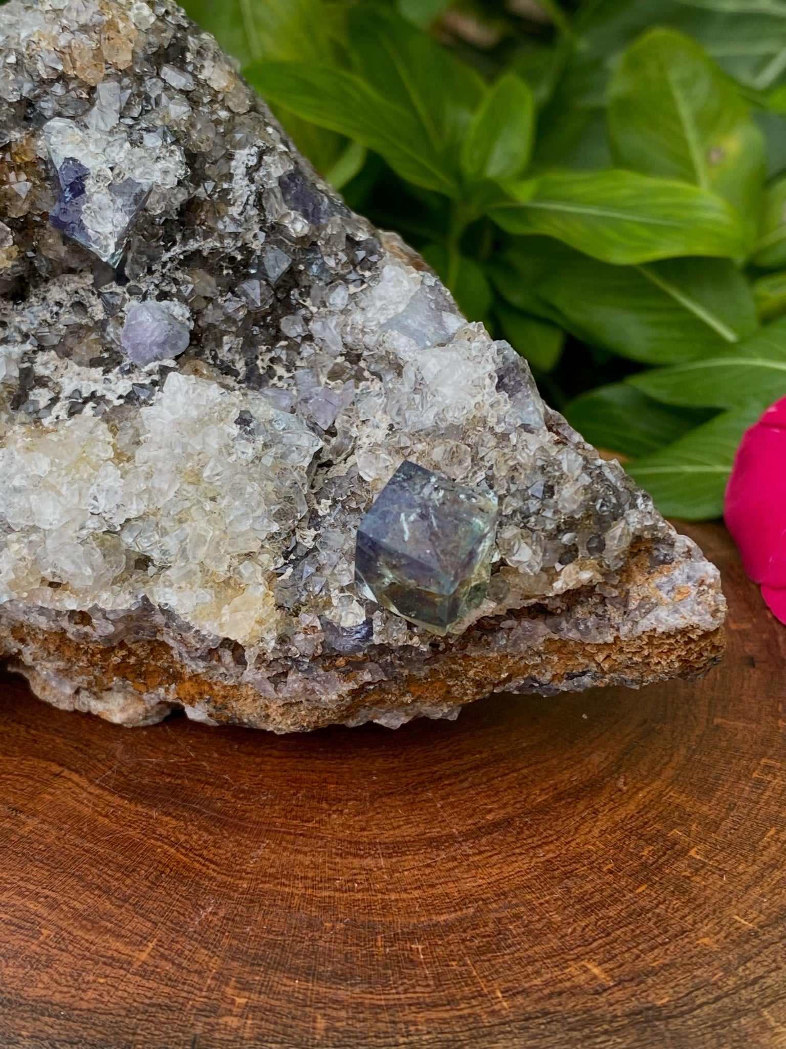 Gemmy Diana Maria Fluorite Cluster | Natural Fluorescence | 435g
