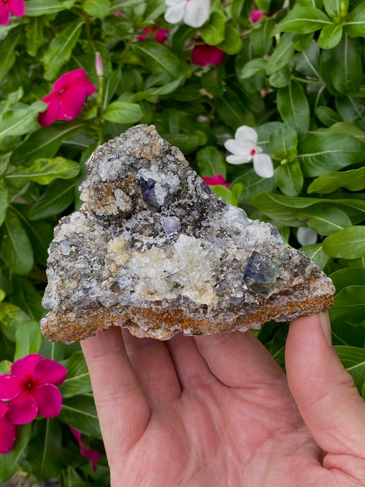 Gemmy Diana Maria Fluorite Cluster | Natural Fluorescence | 435g
