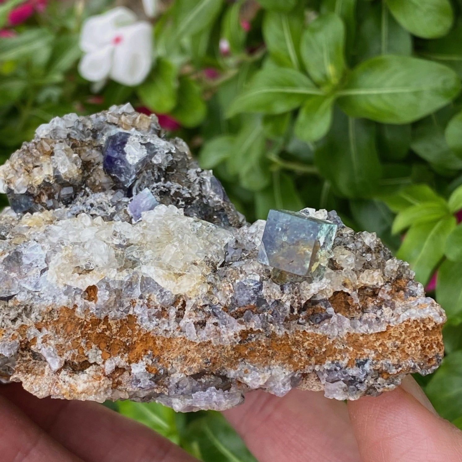 Gemmy Diana Maria Fluorite Cluster | Natural Fluorescence | 435g