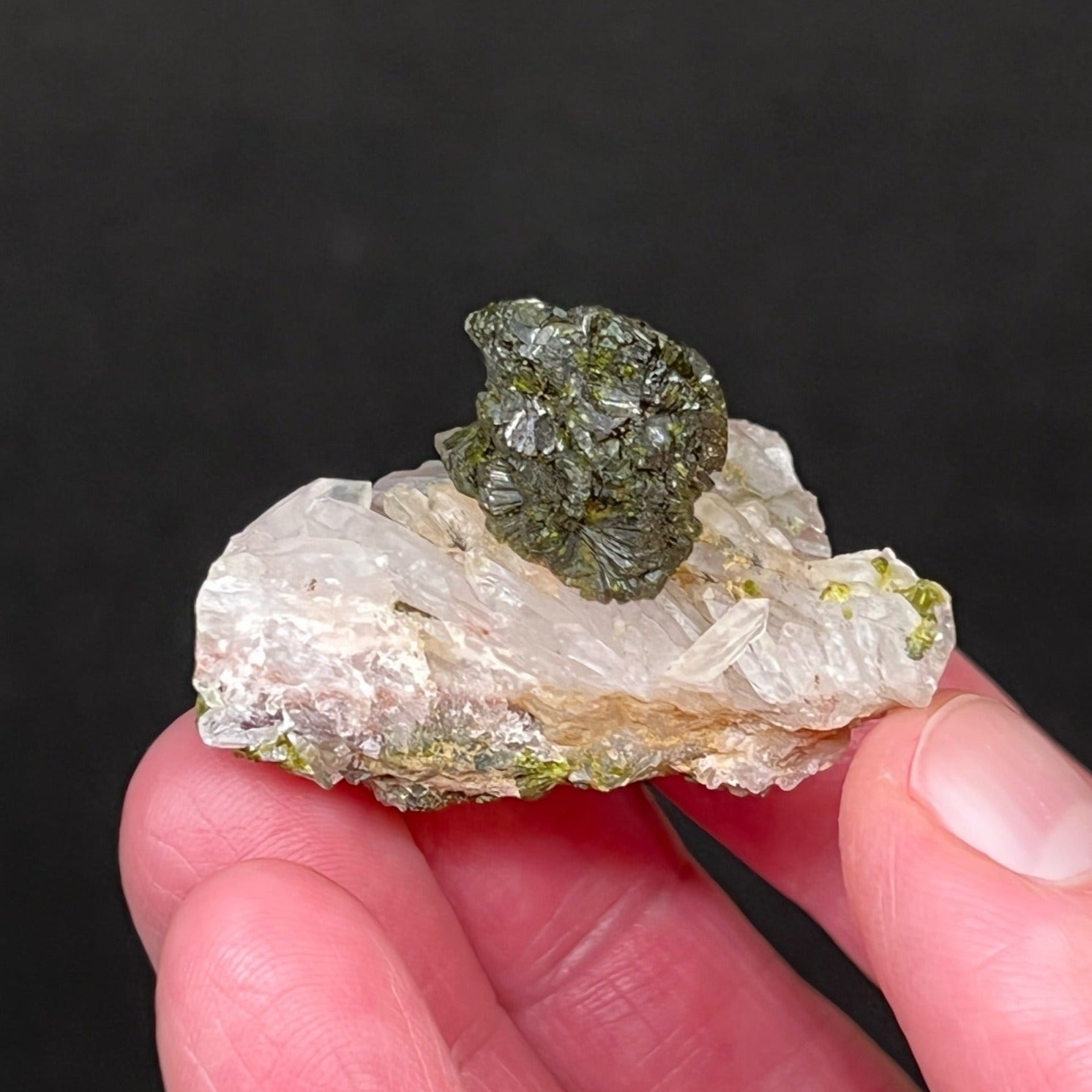 The contrast between the deep, dark green, lustrous Epidote and the transparent, excellently terminated Quartz crystals is very appealing.