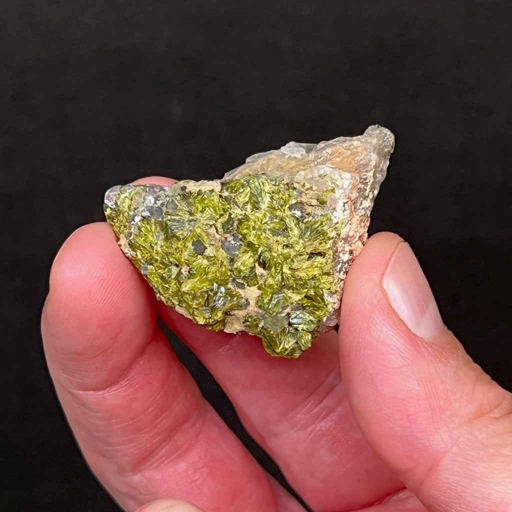 Some lighter green Epidote crystals also present on the underside of this fine specimen.