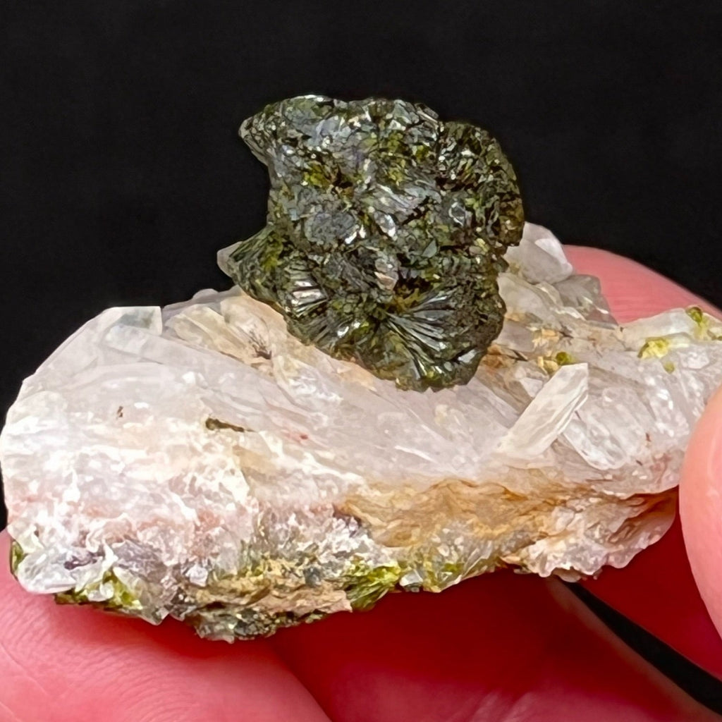 The fan-shaped growths of prismatic Epidote crystals in this specimen are very well formed.
