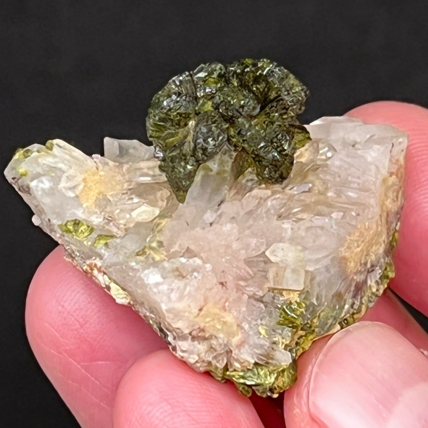 The beautiful Quartz crystals in this specimen seem to embrace and hold the ball-like cluster of lustrous Epidote crystals.