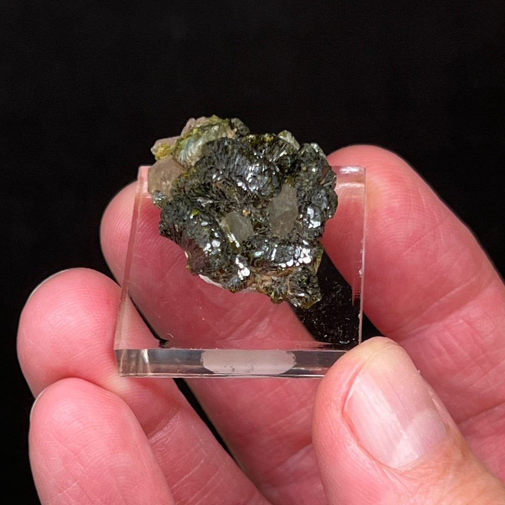 The luster and formation of the Epidote crystals on this specimen are exceptional.