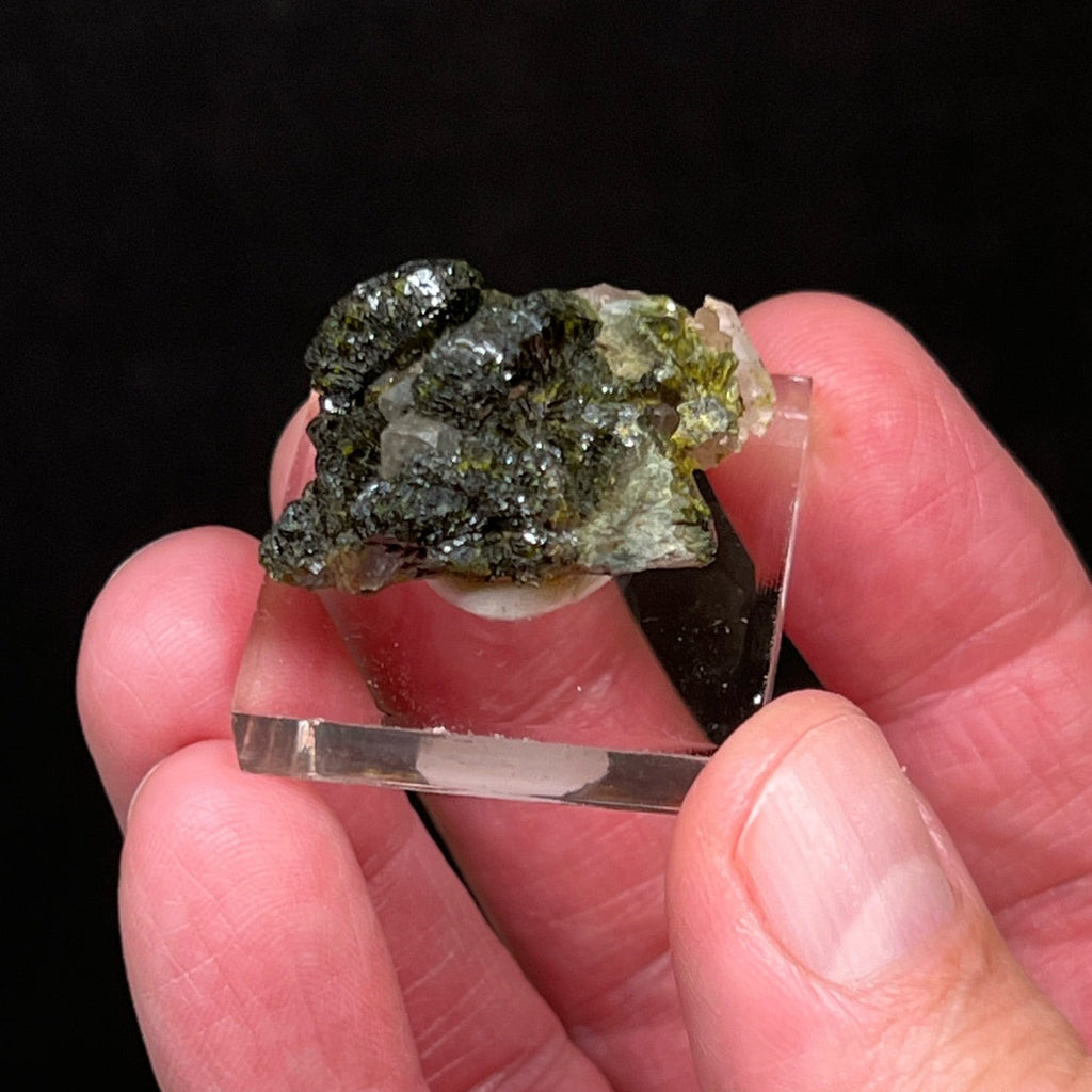 This is an excellent, quality Epidote specimen presenting a dark green, lustrous group of well formed, prismatic, fan-shaped crystals intermingling with quartz crystals.