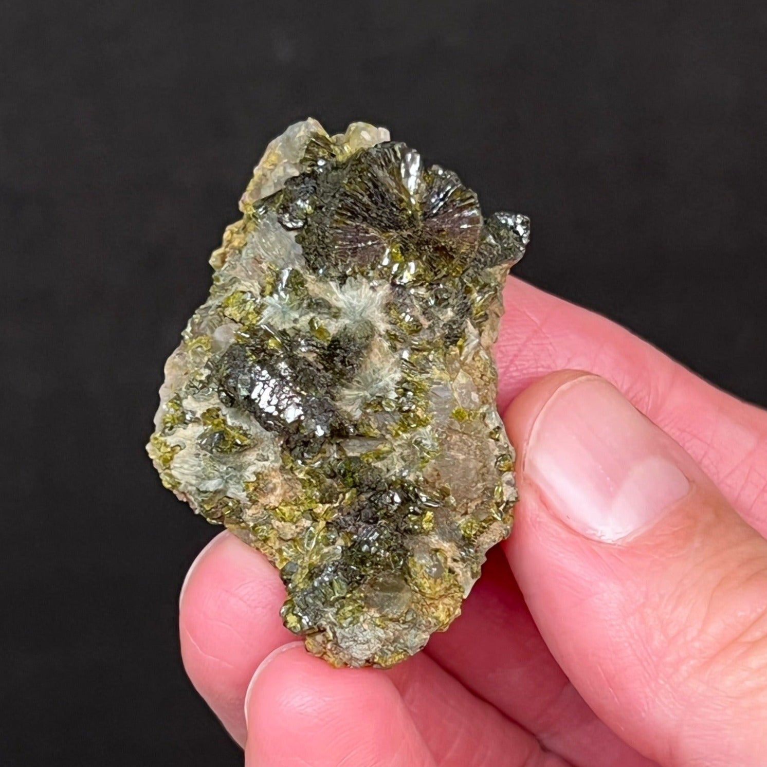 Of most significance is the almost completely radial fan and bowtie combination of Epidote presenting as the largest and highest feature in the specimen! 