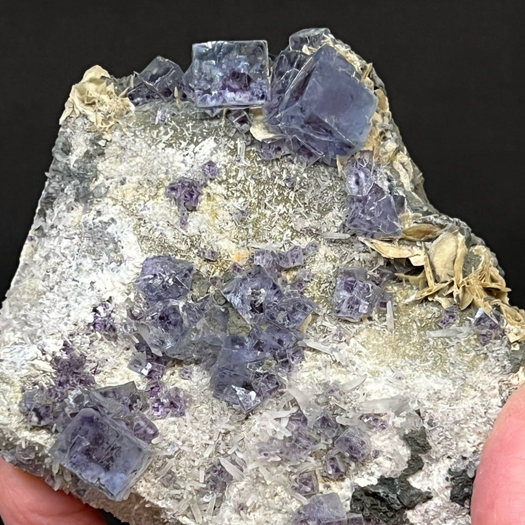 Superb dark blue-purple phantoms and zoning presents from the interiors or centers of the Fluorite crystals; some of the crystals presenting water clear in this fine specimen.