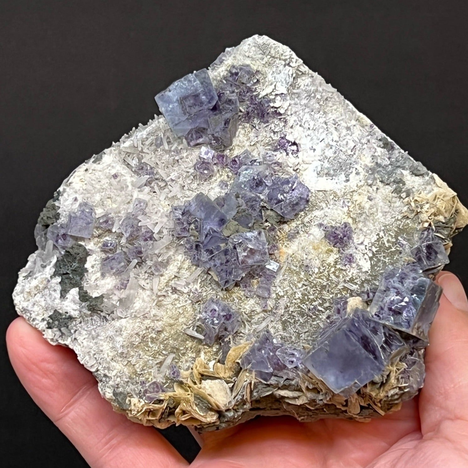 Beautifully well formed, half moon shaped bladed Siderite is another fascinating mineral that presents in this fine Fluorite and Needle Quartz specimen.
