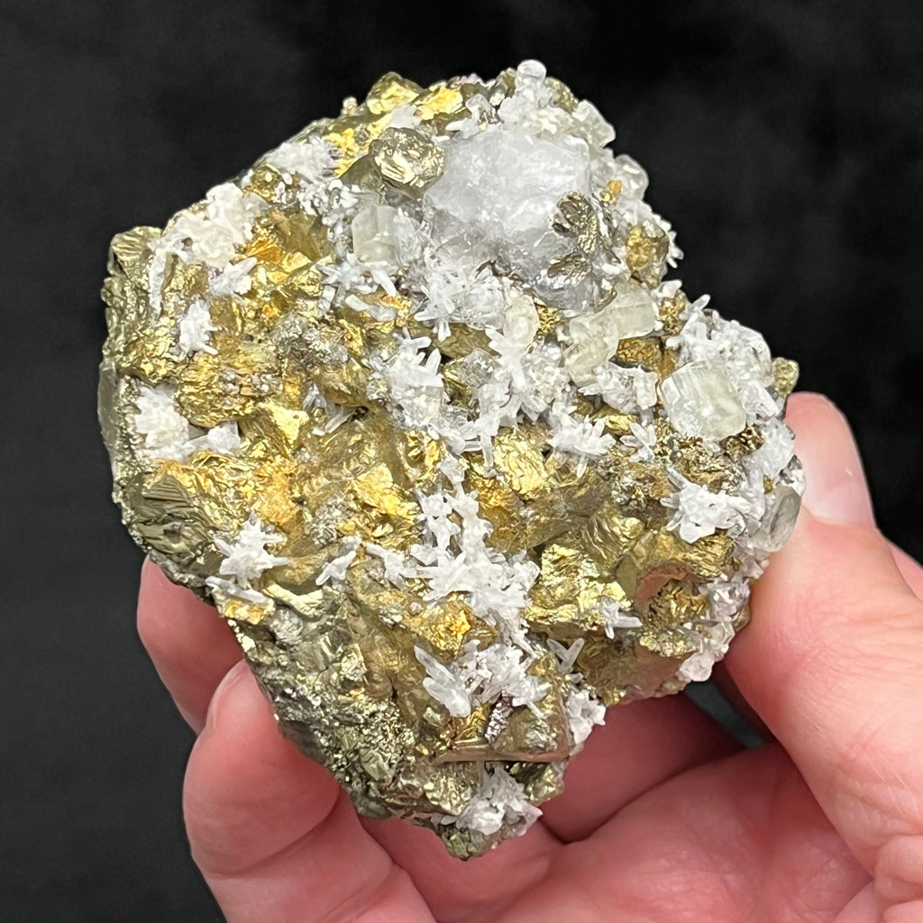 The rarer occurrence of the pale greenish-yellow Apatite crystals  for this locality is valid reason to consider this specimen as a wonderful, less common combination of minerals.
