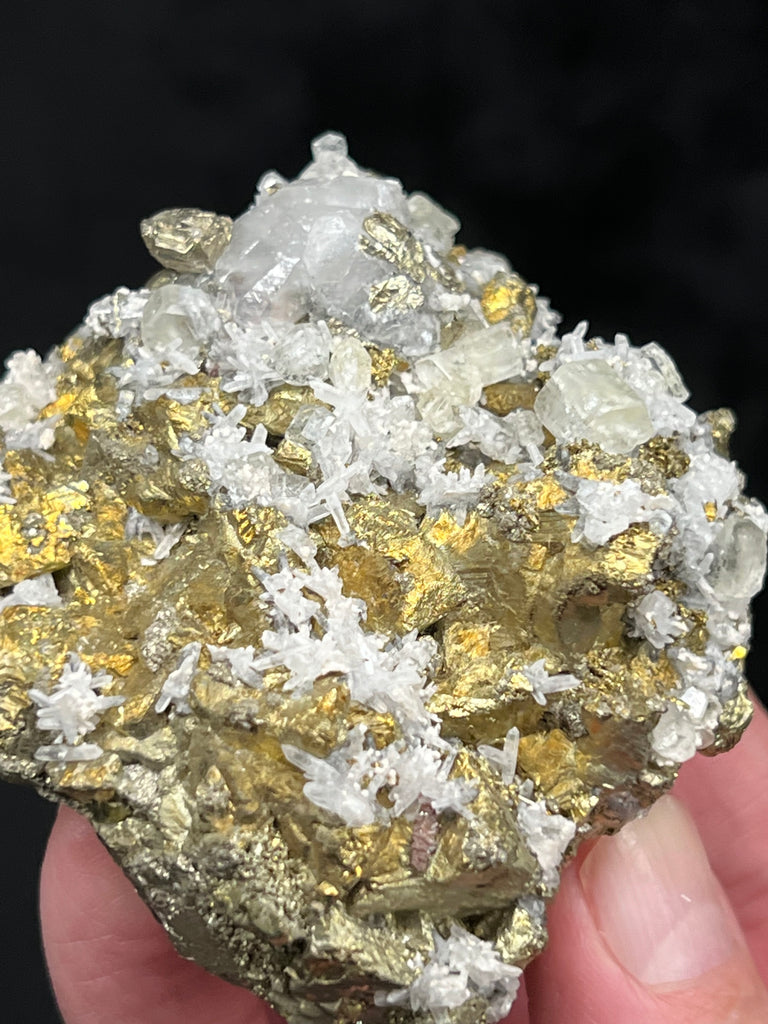 The tiny needle quartz present wonderfully as little flower-like clusters across the surface of the specimen with Fluorapatite, Calcite, Chalcopyrite, Pyrite and Quartz.