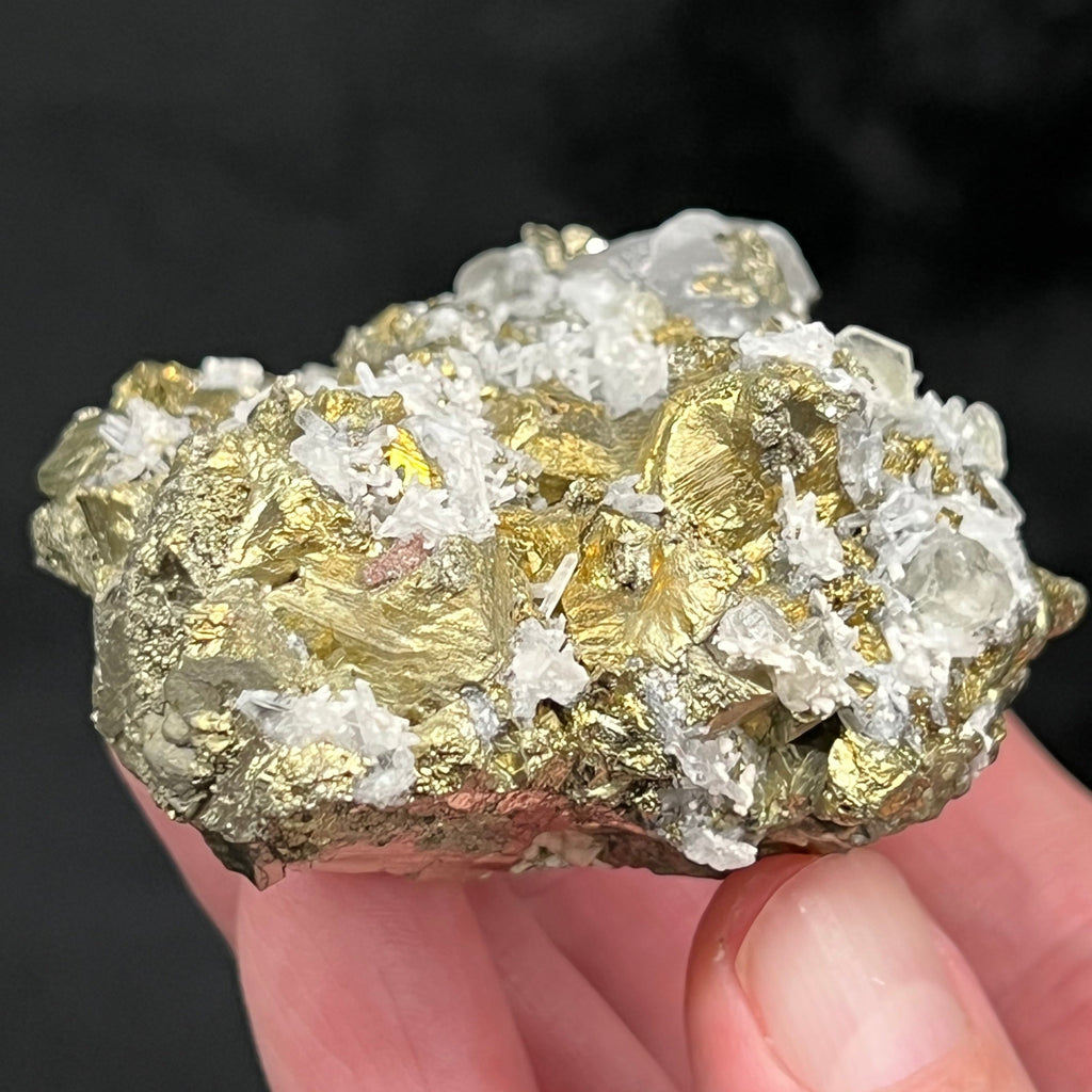 Apatite var. Fluorapatite with Calcite Golden Chalcopyrite, Pyrite, and Quartz from the Huanzala Mine, in Ancash, Peru.