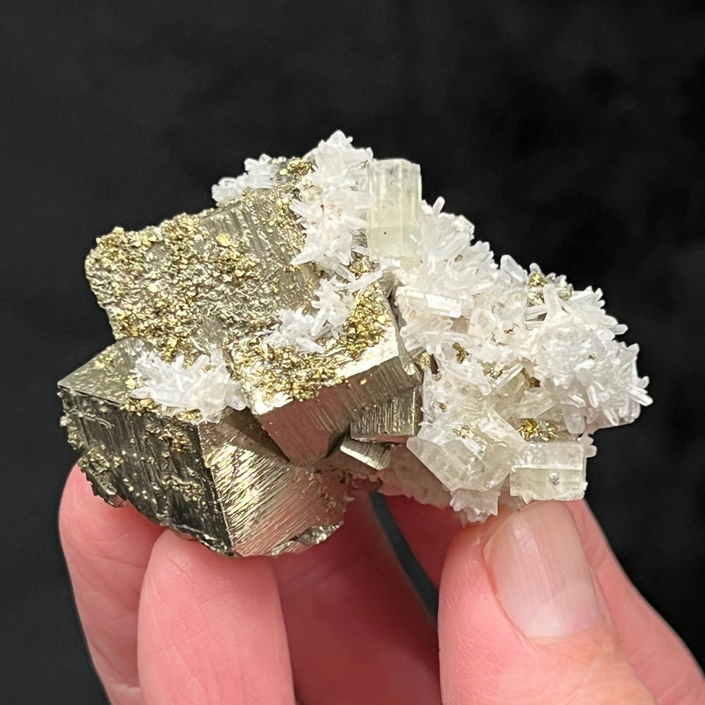  The rarer occurrence of the pale greenish-yellow Apatite crystals for this locality in Peru is valid reason to consider this specimen as a wonderful, less common combination of minerals! 