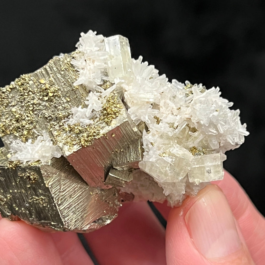 Apatite Fluorapatite Lustrous Pyrite Chalcopyrite Quartz Peru 122g.  The source for this rarer combination of minerals is the Huanzala Mine, Huallanca, Bolognesi Province, Ancash, Peru.
