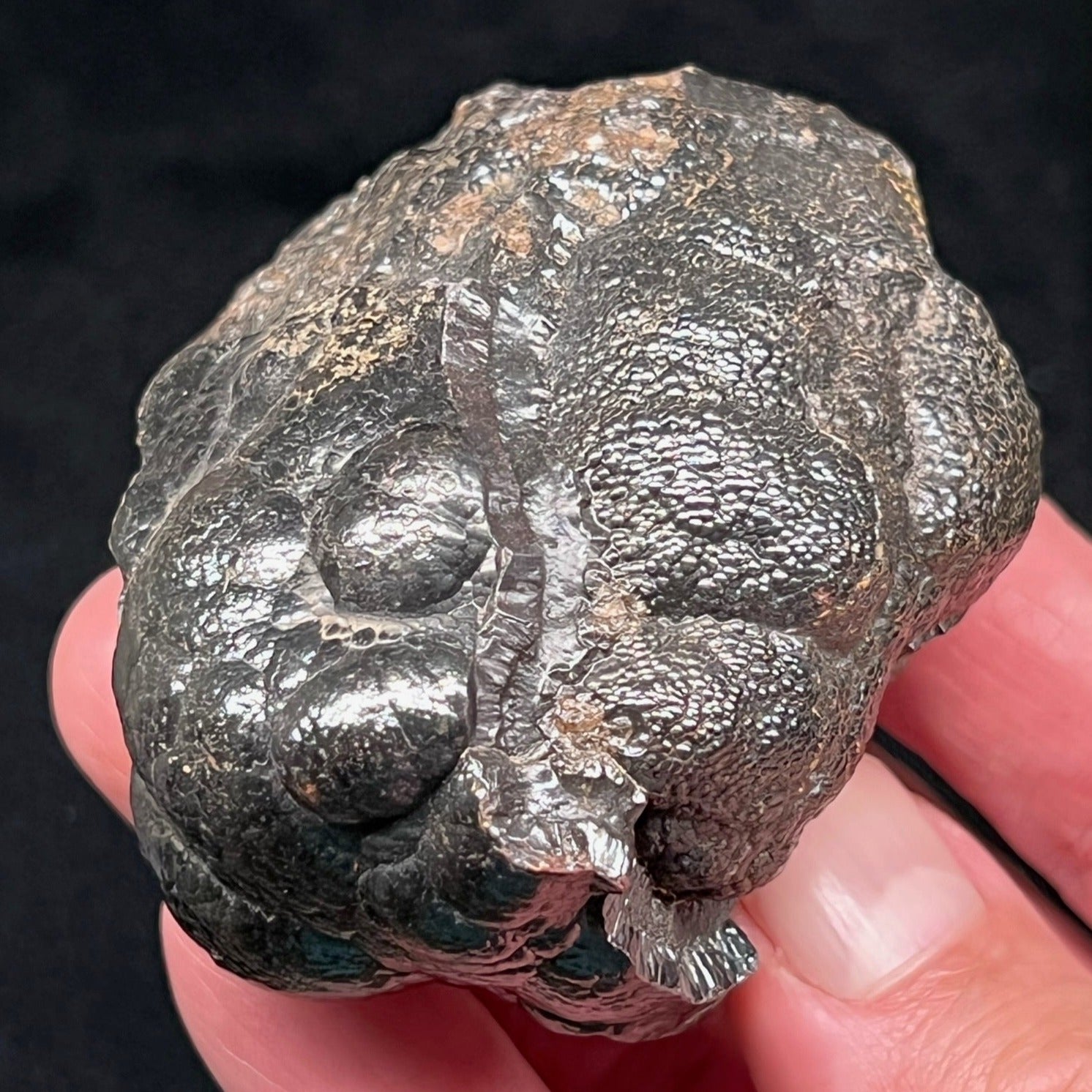 This specimen was carefully chosen for the excellent, unpolished, natural luster on the piece, curious structure, and fascinating, varying, botryoidal habit.  
