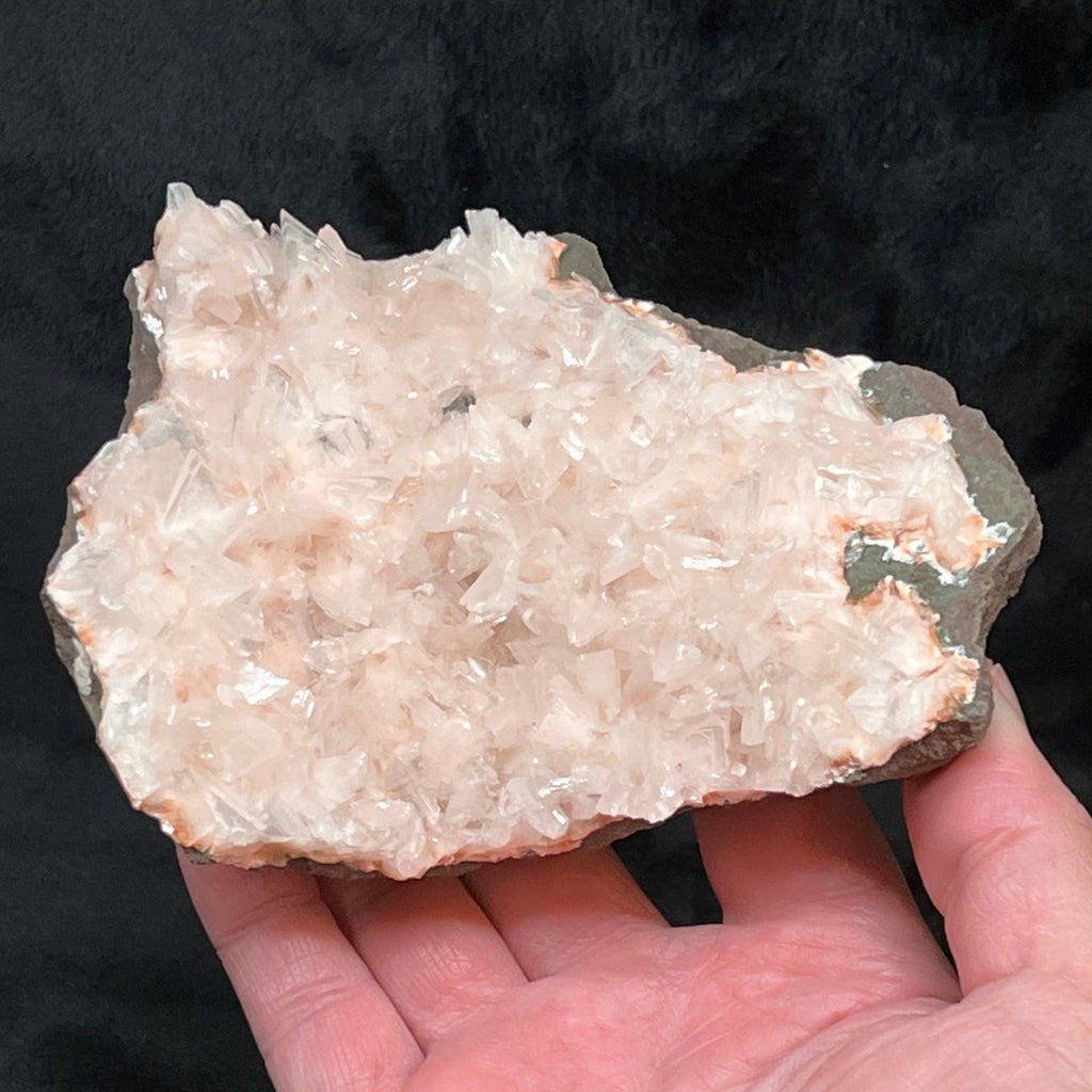 This is a sensational, large, top quality, light salmon pink Heulandite specimen that presents with highly lustrous, pearly crystals growing on a basalt matrix. 