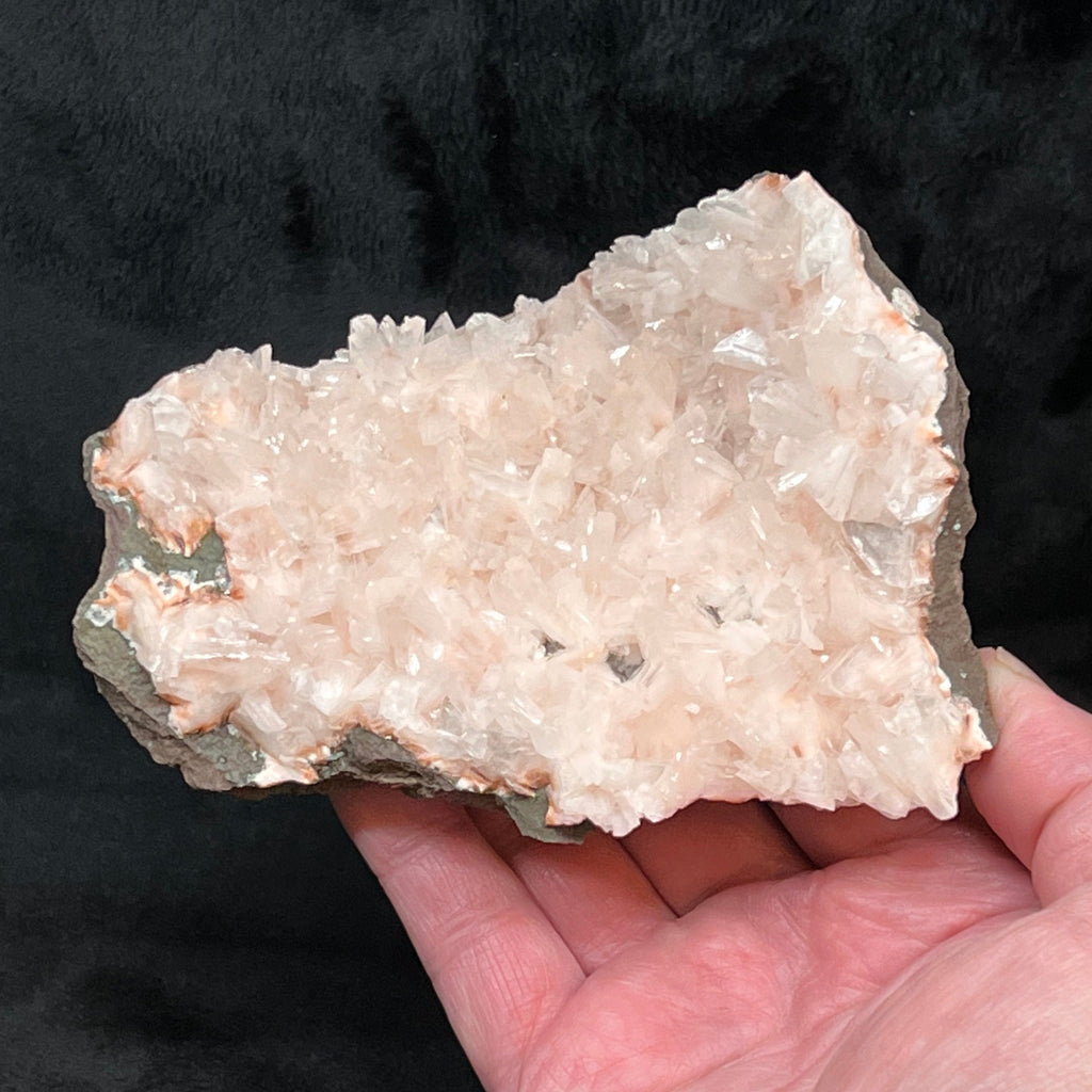 The majority of the gorgeous wedge shaped Heulandite crystals growing on this over 5 inches in size specimen are absolutely pristine. 
