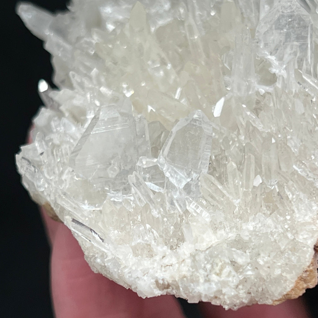 There are many crystals presenting densely throughout this Quartz 4 Japan Law Twins Lustrous Peru specimen 164g