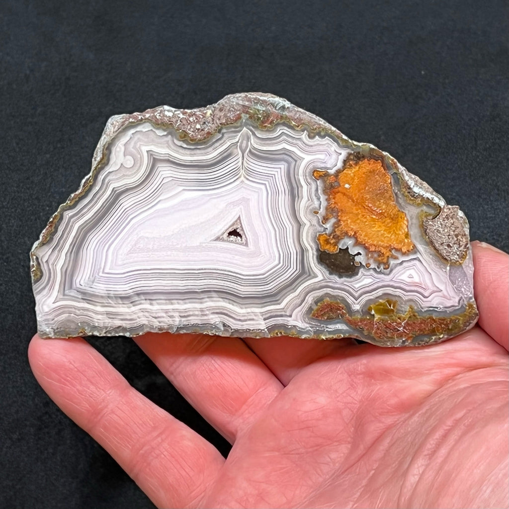 The beautifully contrasting orange-yellowish, flowery formations in this outstanding Laguna Agate present with superb plumes and complex patterns.