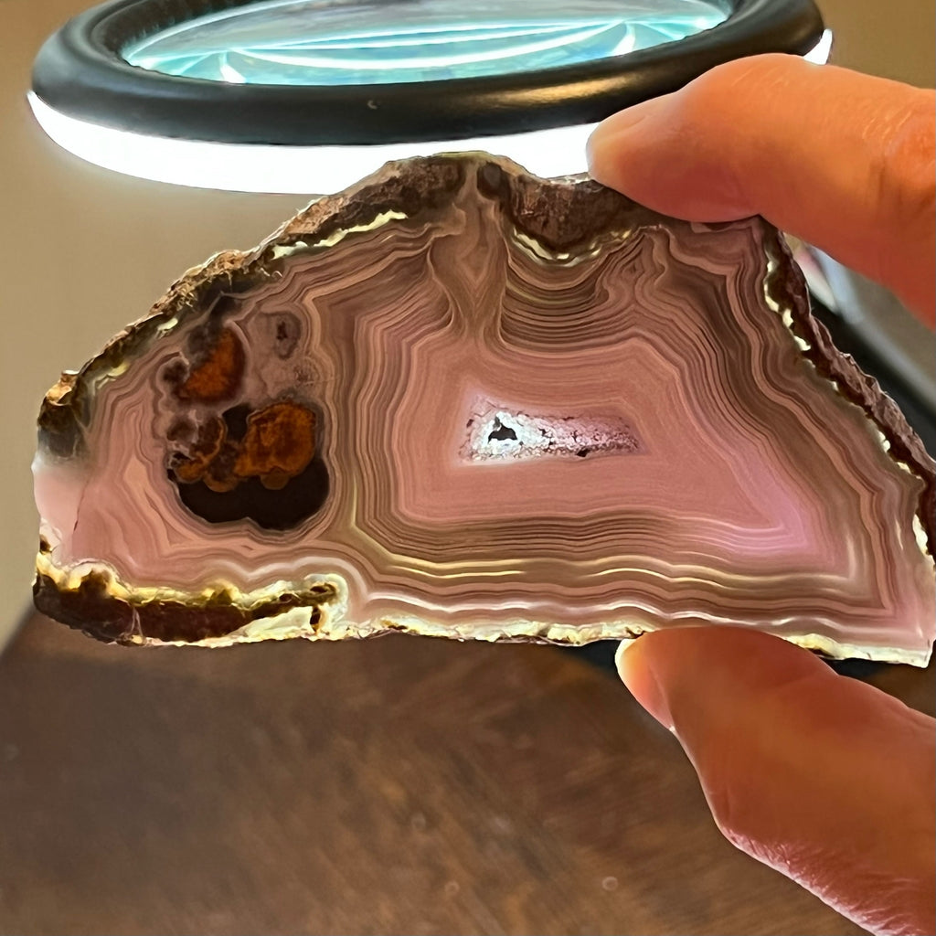 You'll enjoy holding this attractive slab up to the light to appreciate the translucency of the quartz var. chalcedony of this Laguna Agate. 