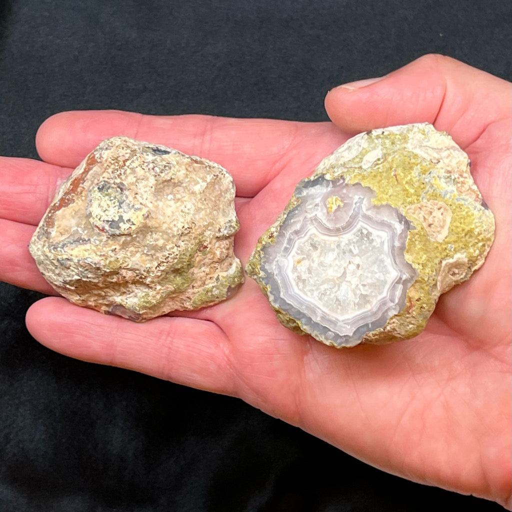 Presenting with an open, unpolished backside, the larger side of the pair presents the opportunity to appreciate the natural growth of this fine example of a Laguna Agate thunderegg.   
