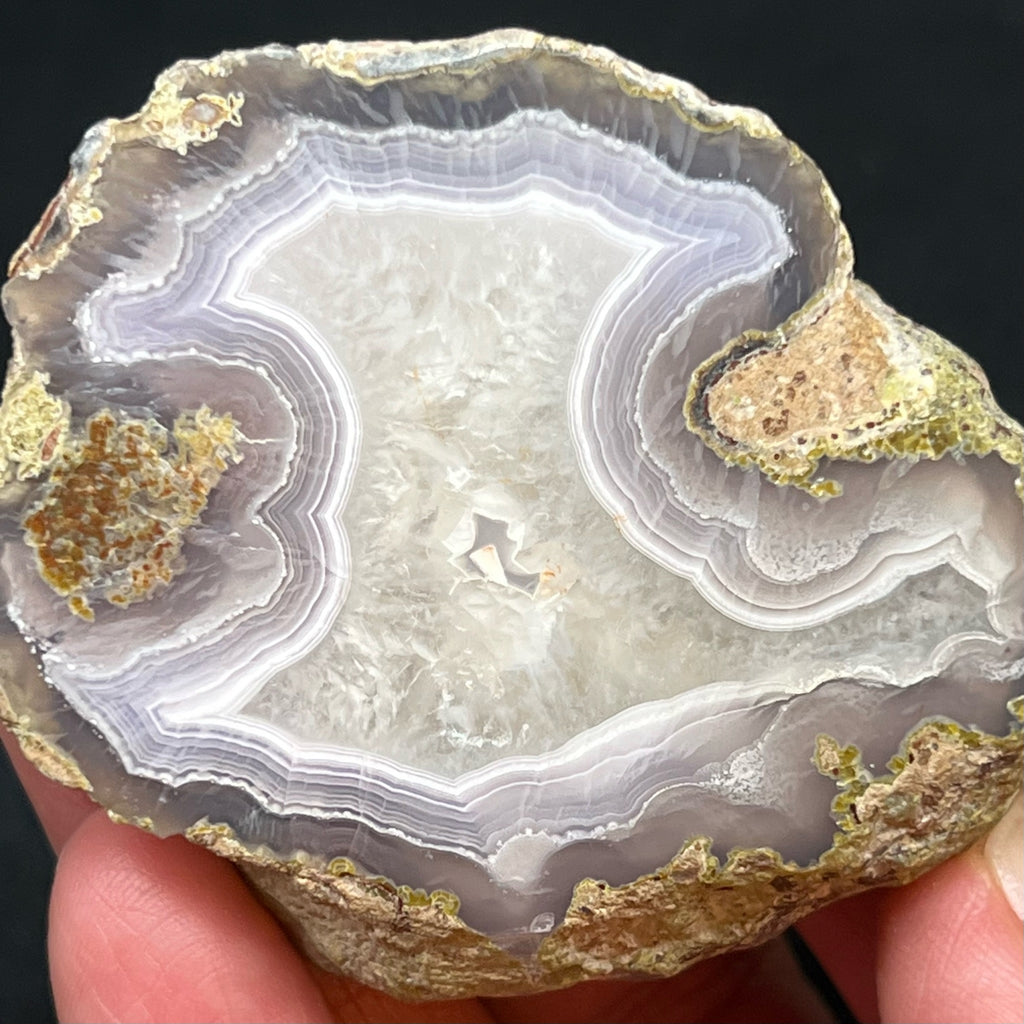 You'll enjoy holding the larger side up to the light to appreciate the translucency of the quartz var. chalcedony of this Laguna Agate.