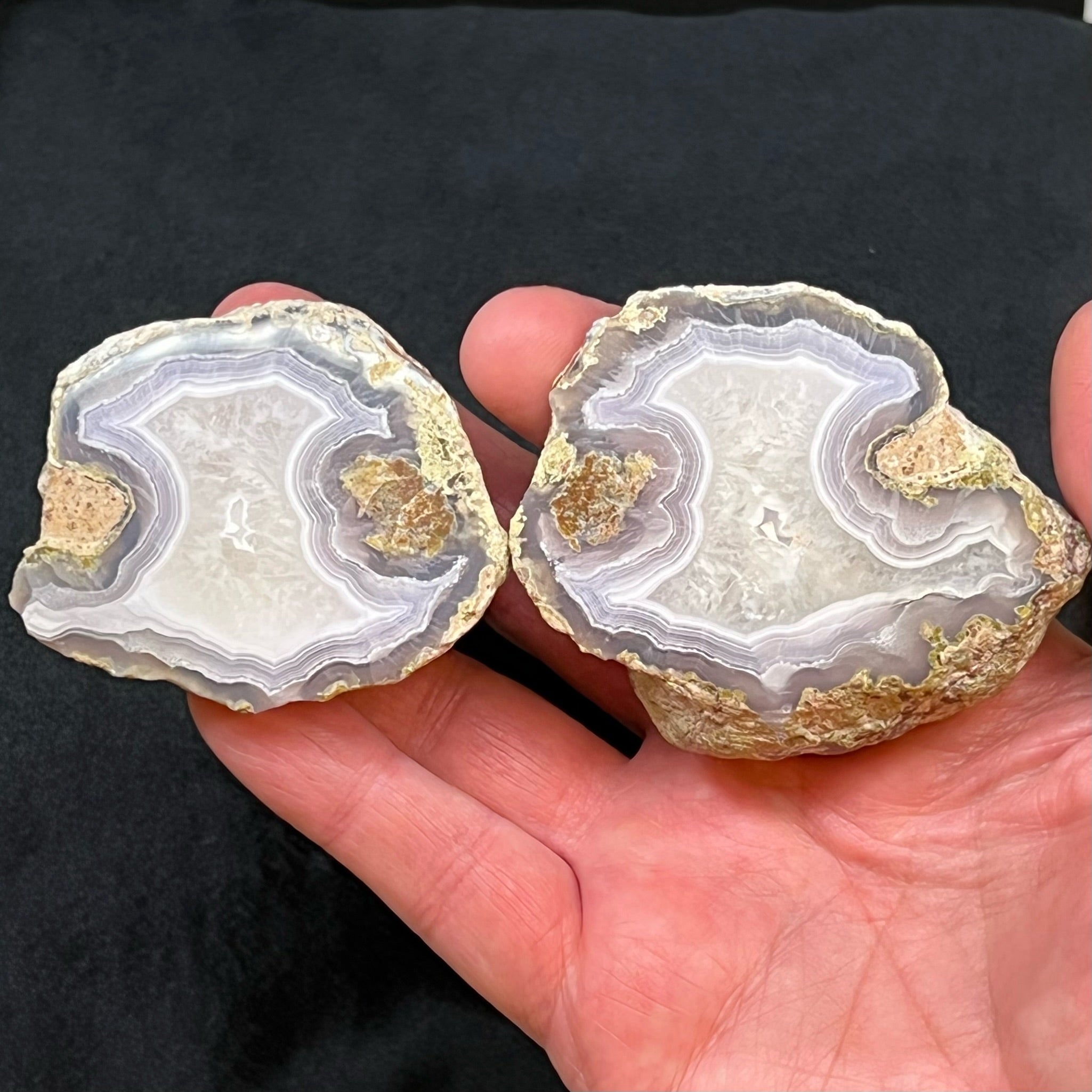 This is a sensational pair of Laguna Agate specimens; both sides from the same thunderegg exhibiting a high polish and featuring mostly white with a very soft lavender-blue, exceptional, fine banding and fortifications in a fascinating hourglass shape.
