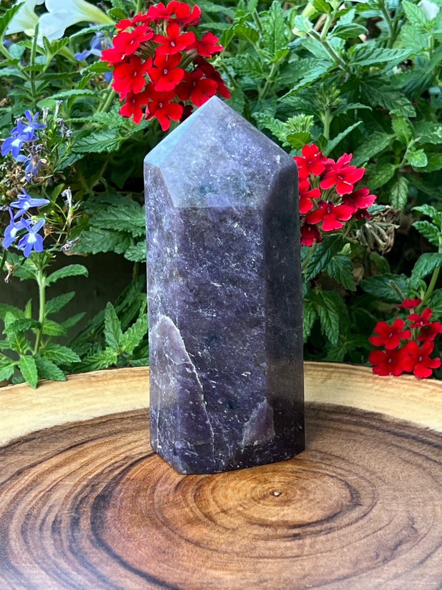  Interestingly, the color of this Lepidolite obelisk presents a little more blue in hue when photographed outdoors, at different angles, in even light, out of the sunlight, exhibiting pleochroism. 